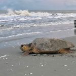 article image - 